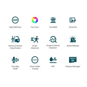 Caméra IP extérieure 5MP VIGI C350 2,8 mm