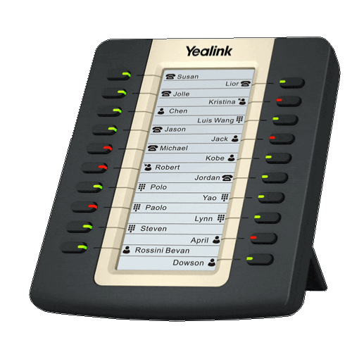 Module d'extension EXP20 pour téléphones YEALINK T2x